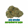 Buy Premium Quality Top Shelf AAA Sativa Cannabis Weed Deals Sale Online