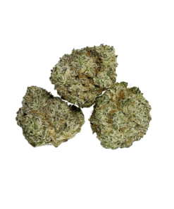 Buy Premium Quality Top Shelf AAAA Hybrid Indica Popcorn Cannabis Weed Deals Sale Bulk Online