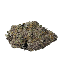 Buy AAA Moby Dick Sativa Cannabis Bulk Weed Deals Bulk Sale Online