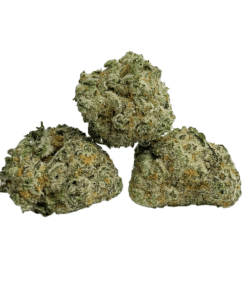 Buy Premium Quality Top Shelf AAAA Sativa Popcorn Cannabis Weed Deals Sale Bulk Online