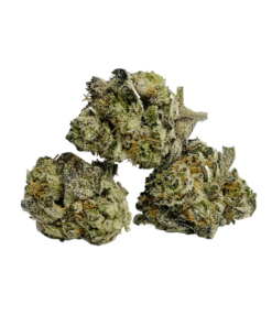 Buy Premium Top Shelf Quality AAA Hybrid Popcorn Cannabis Weed Deals Sale Bulk Online