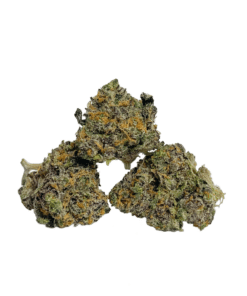 Buy Premium Top Shelf Quality AAA Indica Popcorn Cannabis Weed Deals Sale Bulk Online